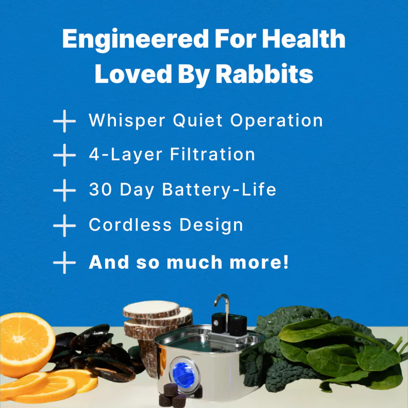 Binky Fountain Wireless