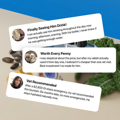 Binky Fountain Wireless