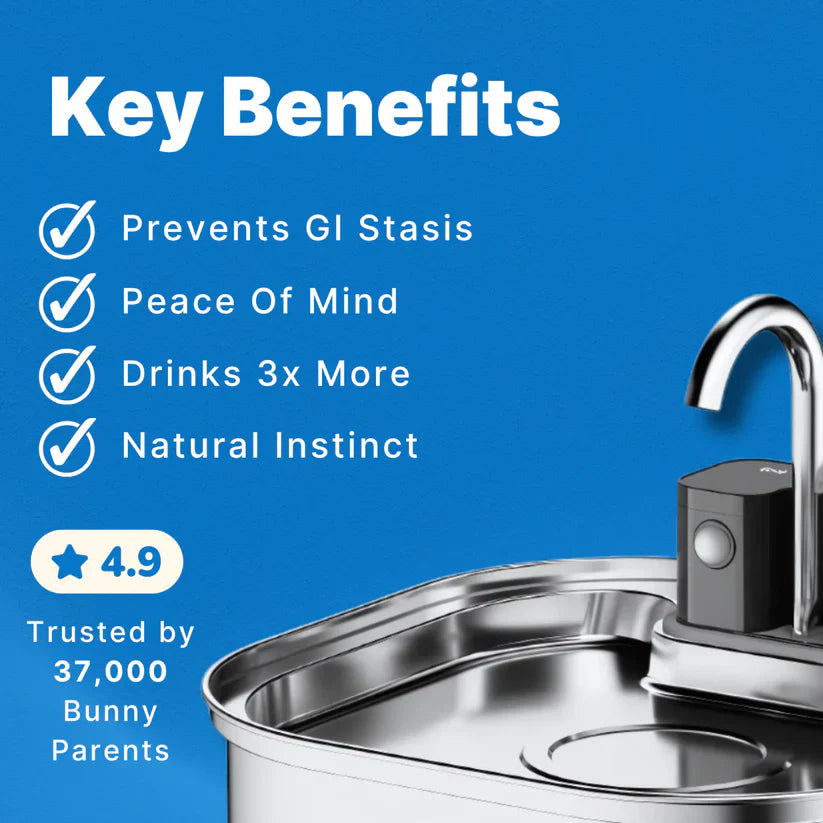 Binky Fountain Wireless