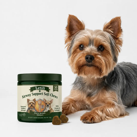 Airway Support Soft Chews for Small Breeds