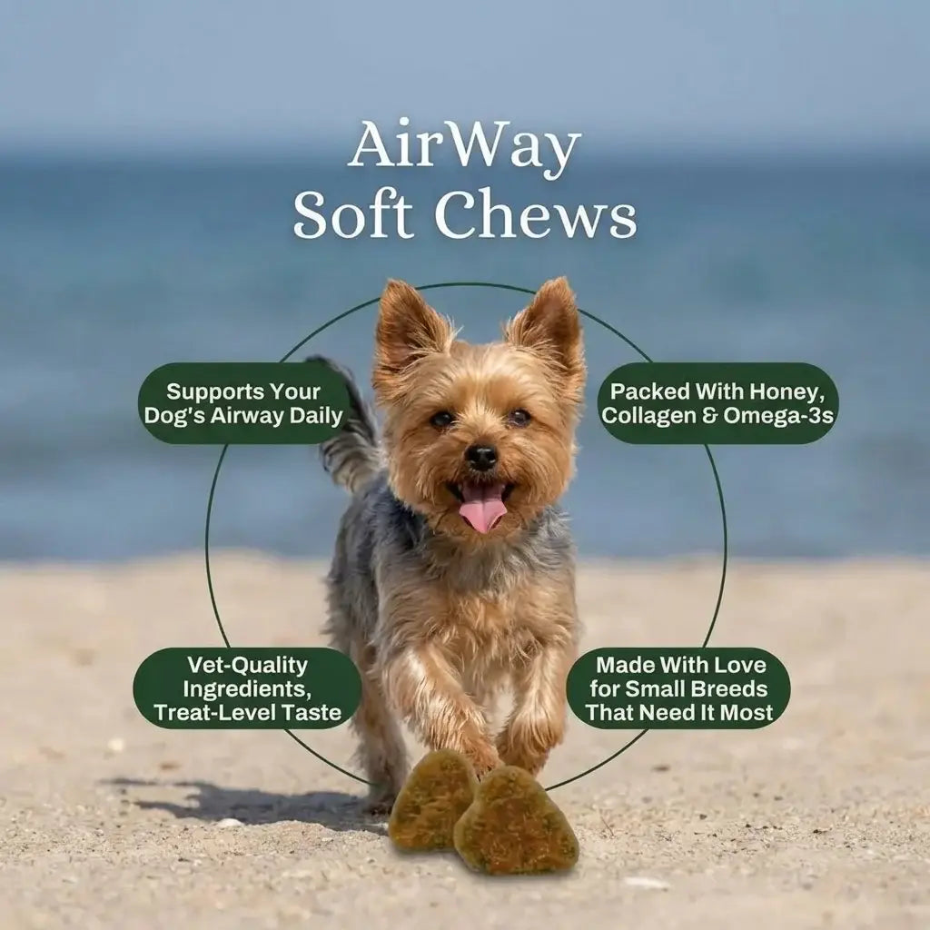 Airway Support Soft Chews for Small Breeds