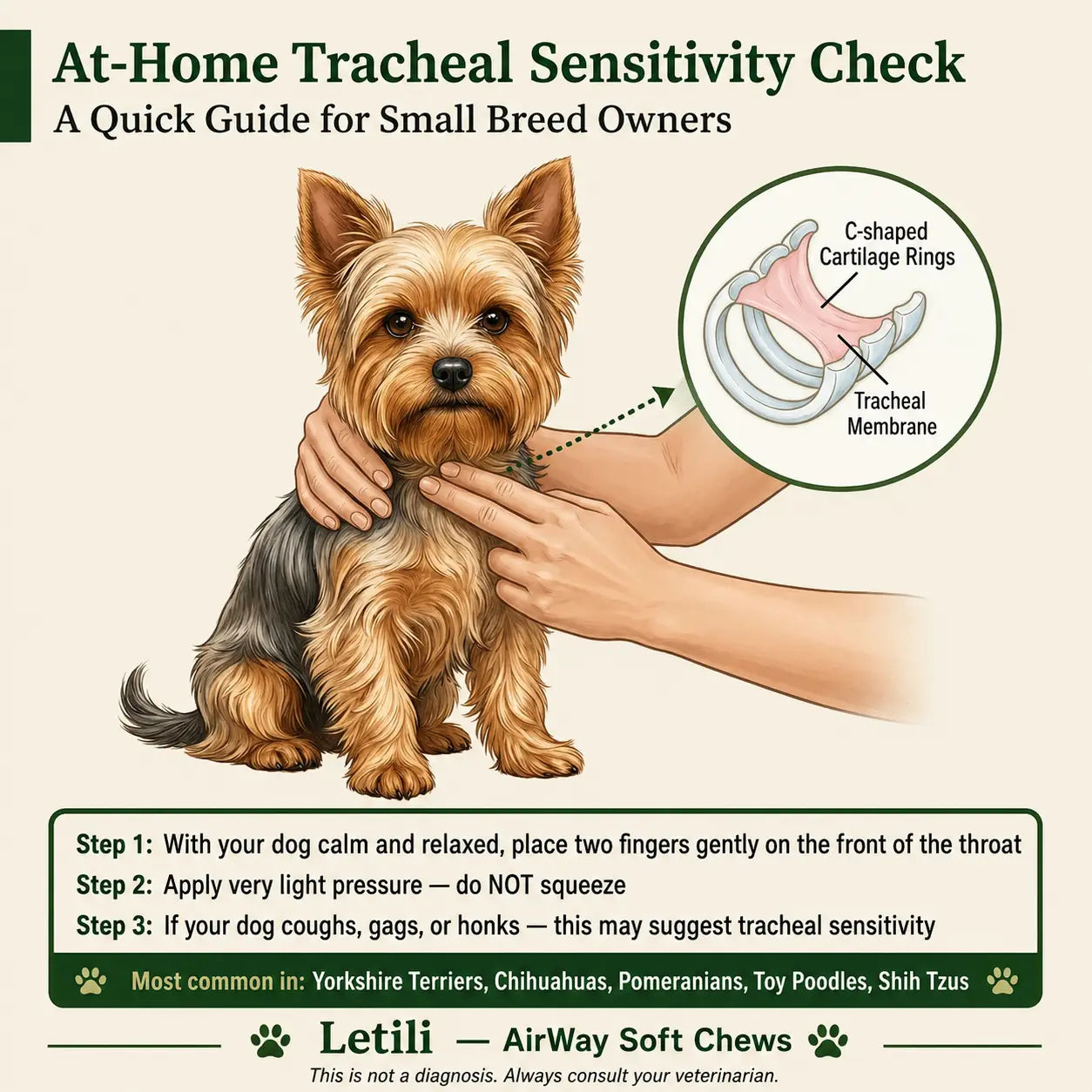 Airway Support Soft Chews for Small Breeds