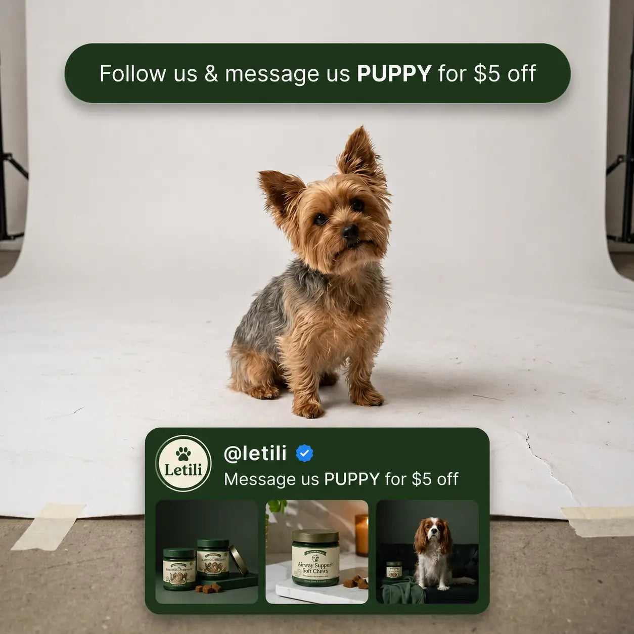 Airway Support Soft Chews for Small Breeds