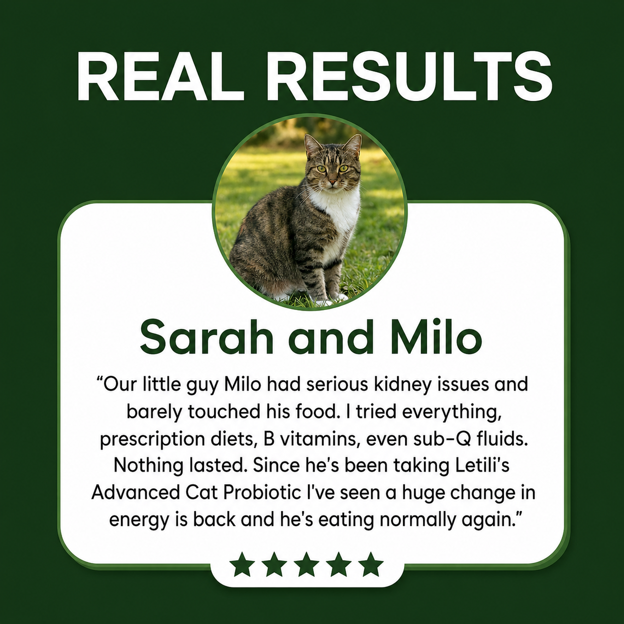 End Your Cat's Kidney Decline & Restore Their Energy While Adding YEARS To Their Lifespan & Saving Thousands on Vet Bills with Just 2 Drops Daily!*
