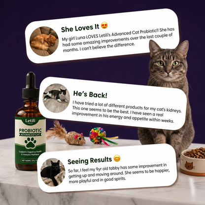 End Your Cat's Kidney Decline & Restore Their Energy While Adding YEARS To Their Lifespan & Saving Thousands on Vet Bills with Just 2 Drops Daily!*