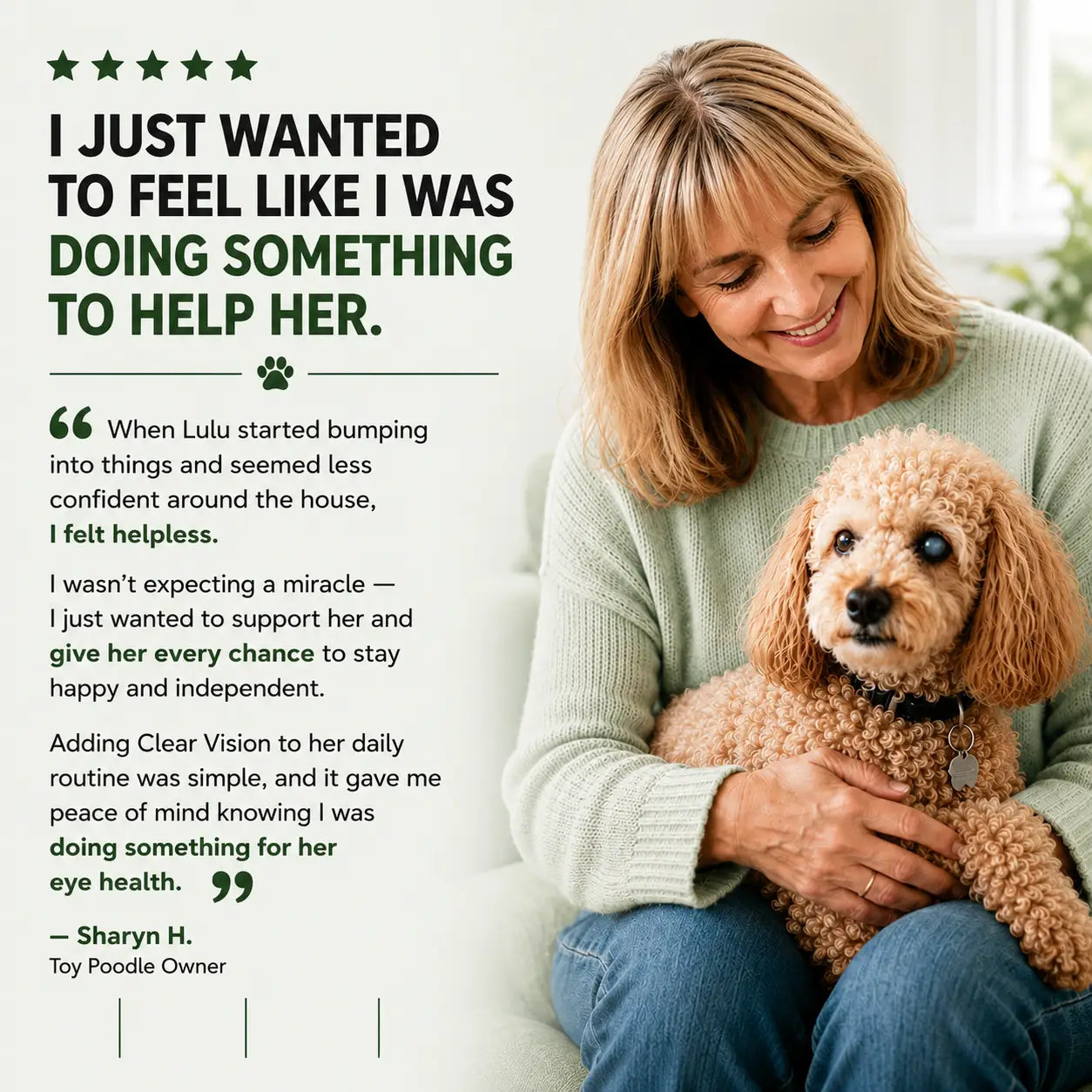 Clear Vision drops for dogs