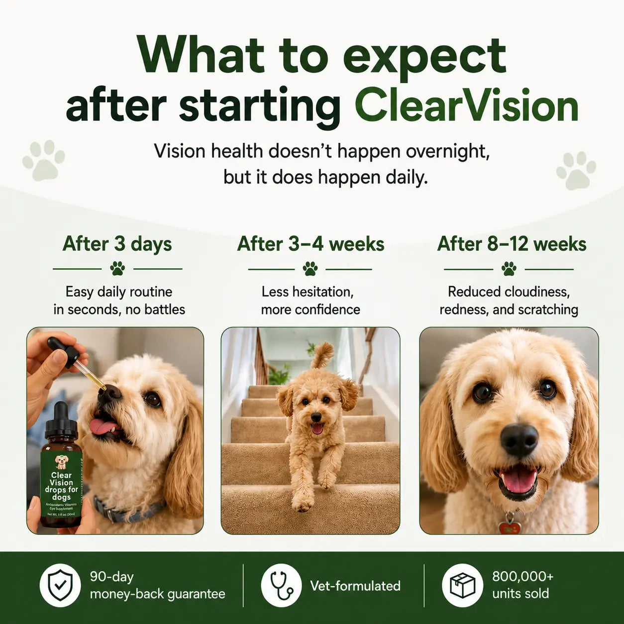 Clear Vision drops for dogs