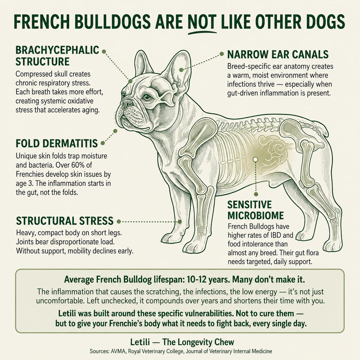 Letili French Bulldog Longevity Chews