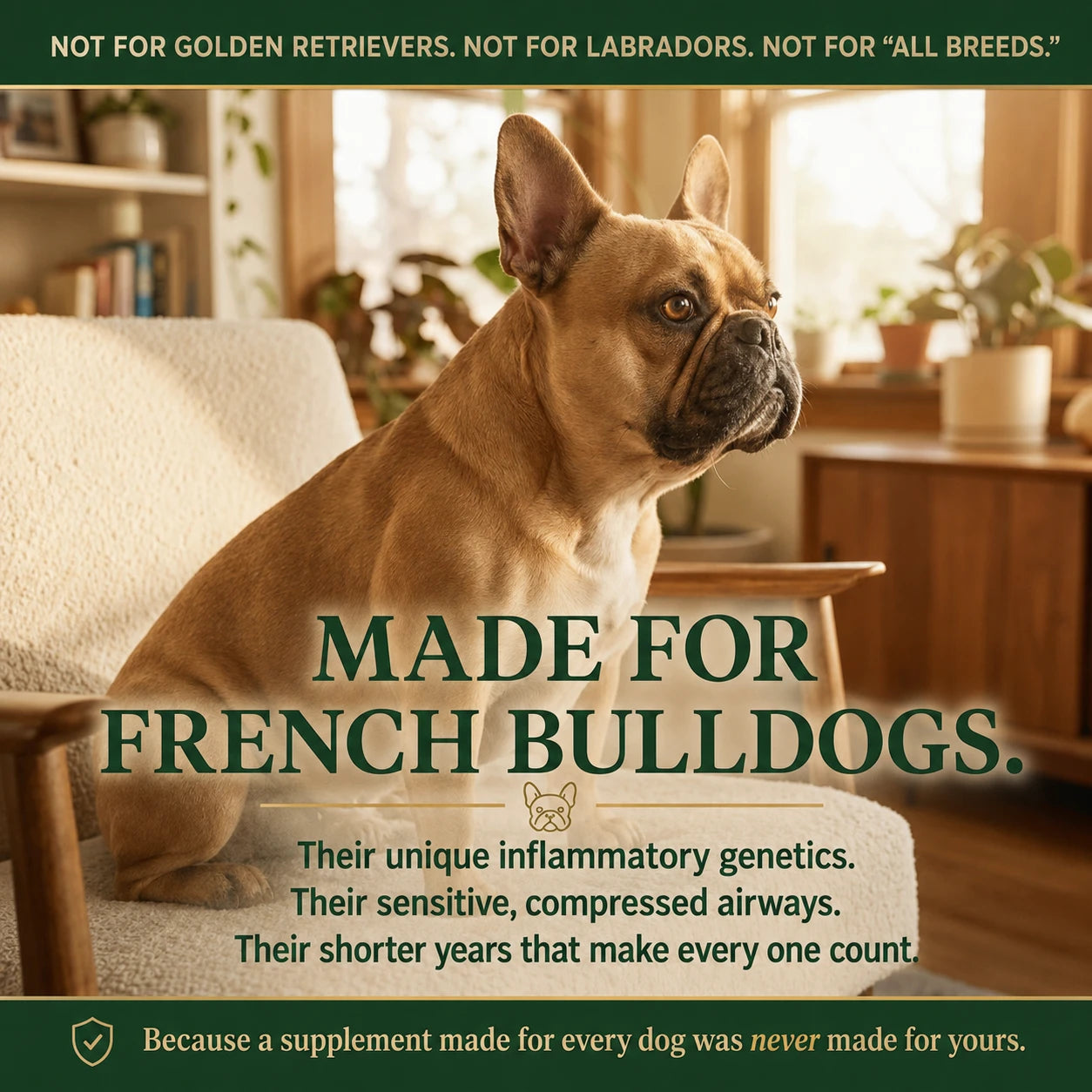 Letili French Bulldog Longevity Chews