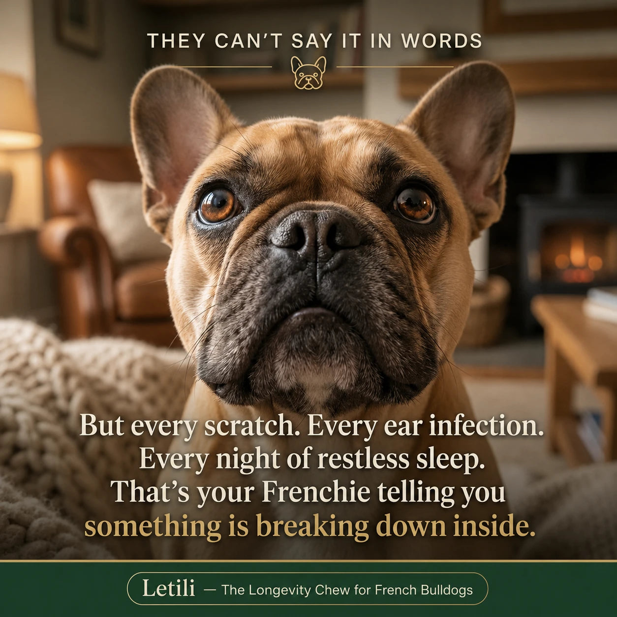 Letili French Bulldog Longevity Chews