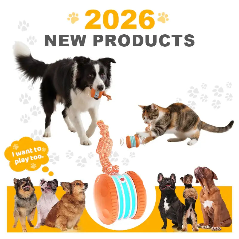 End Pet Boredom for Good! ✨ Let the New NEPIMI™ Ball Spark Quality Time & Shared Joy 🐶&🐱