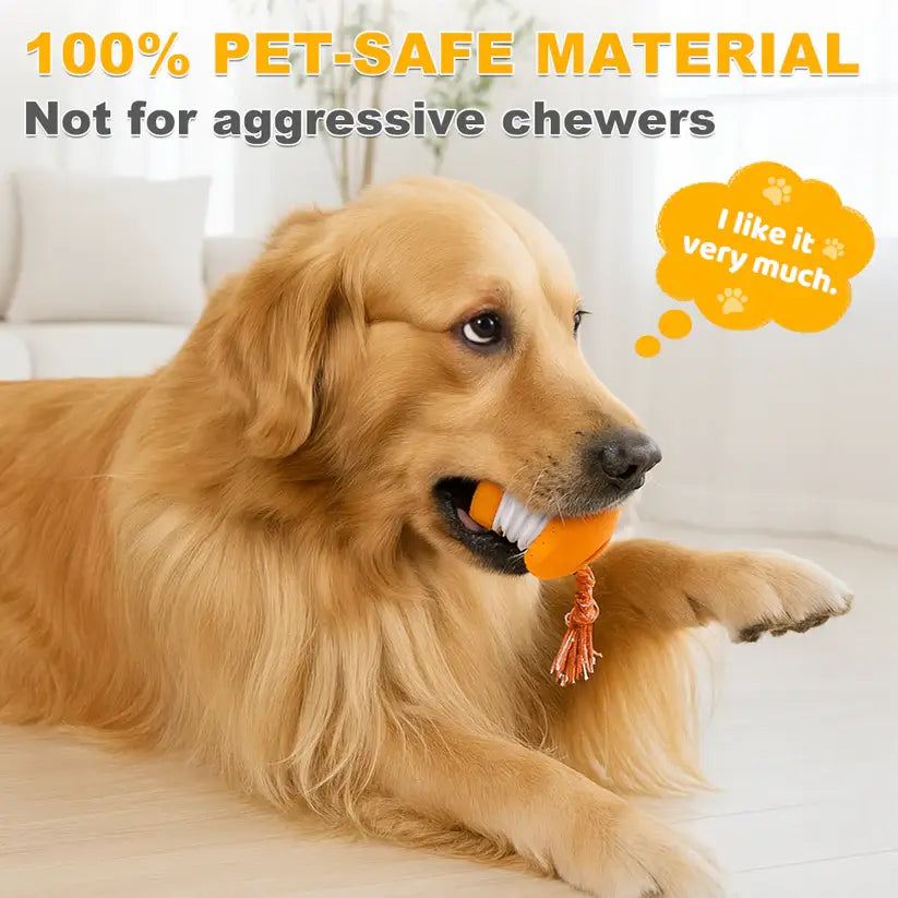 End Pet Boredom for Good! ✨ Let the New NEPIMI™ Ball Spark Quality Time & Shared Joy 🐶&🐱