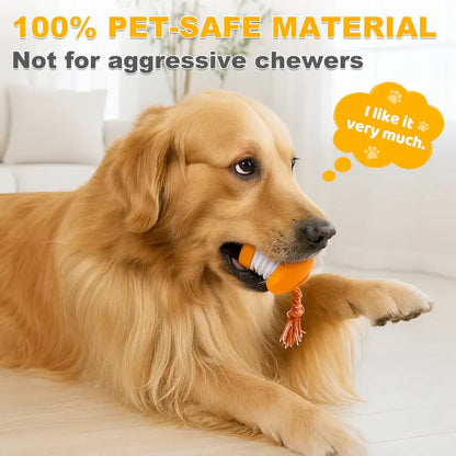 End Pet Boredom for Good! ✨ Let the New NEPIMI™ Ball Spark Quality Time & Shared Joy 🐶&🐱