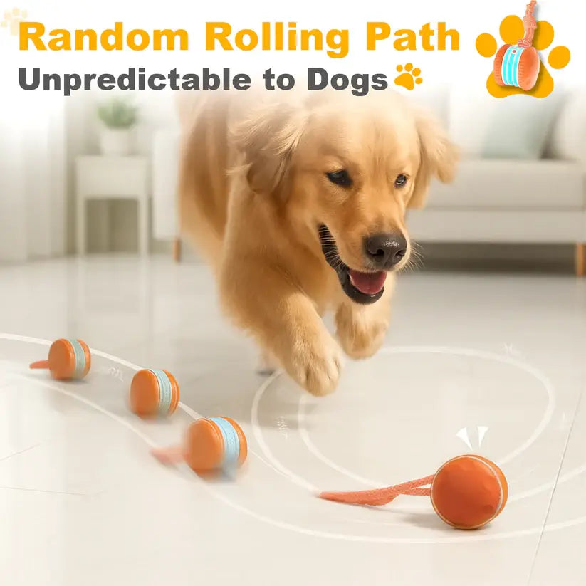 End Pet Boredom for Good! ✨ Let the New NEPIMI™ Ball Spark Quality Time & Shared Joy 🐶&🐱