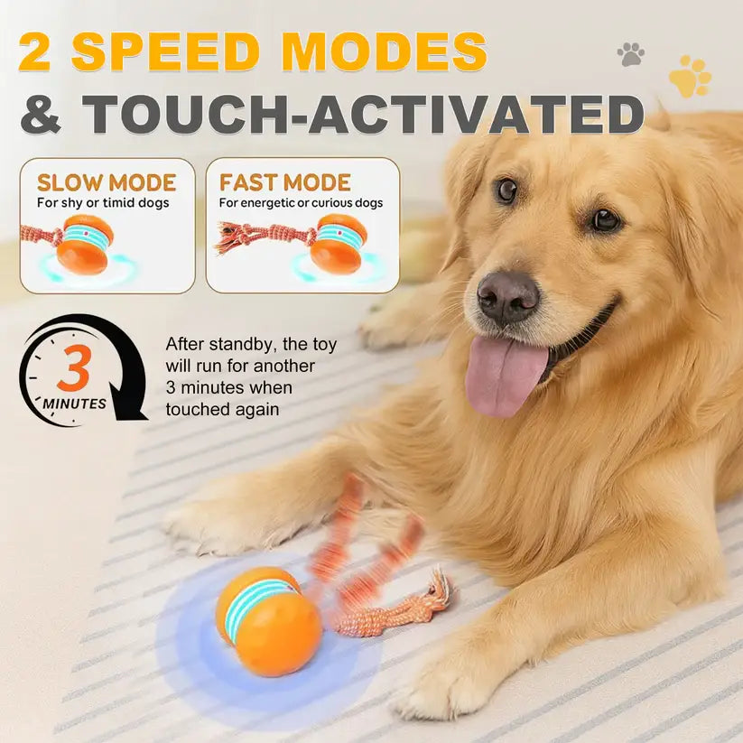 End Pet Boredom for Good! ✨ Let the New NEPIMI™ Ball Spark Quality Time & Shared Joy 🐶&🐱