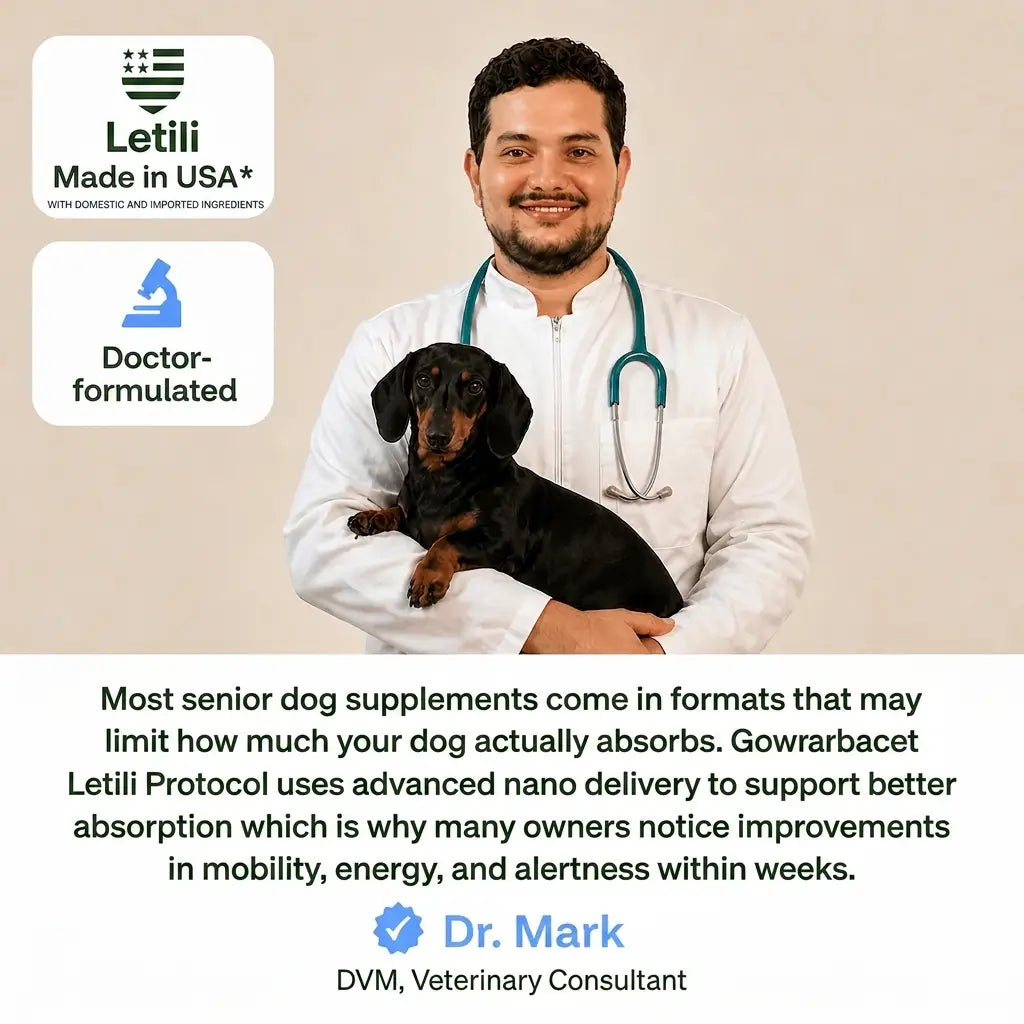 The Science-Backed Protocol to Boost Dog Health Span