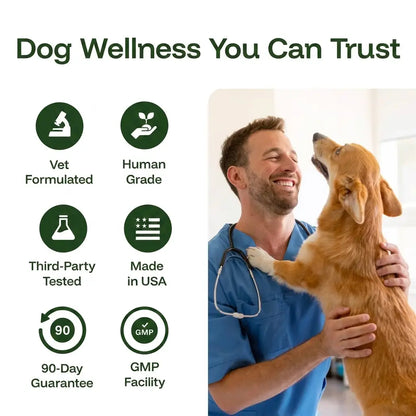 The Science-Backed Protocol to Boost Dog Health Span
