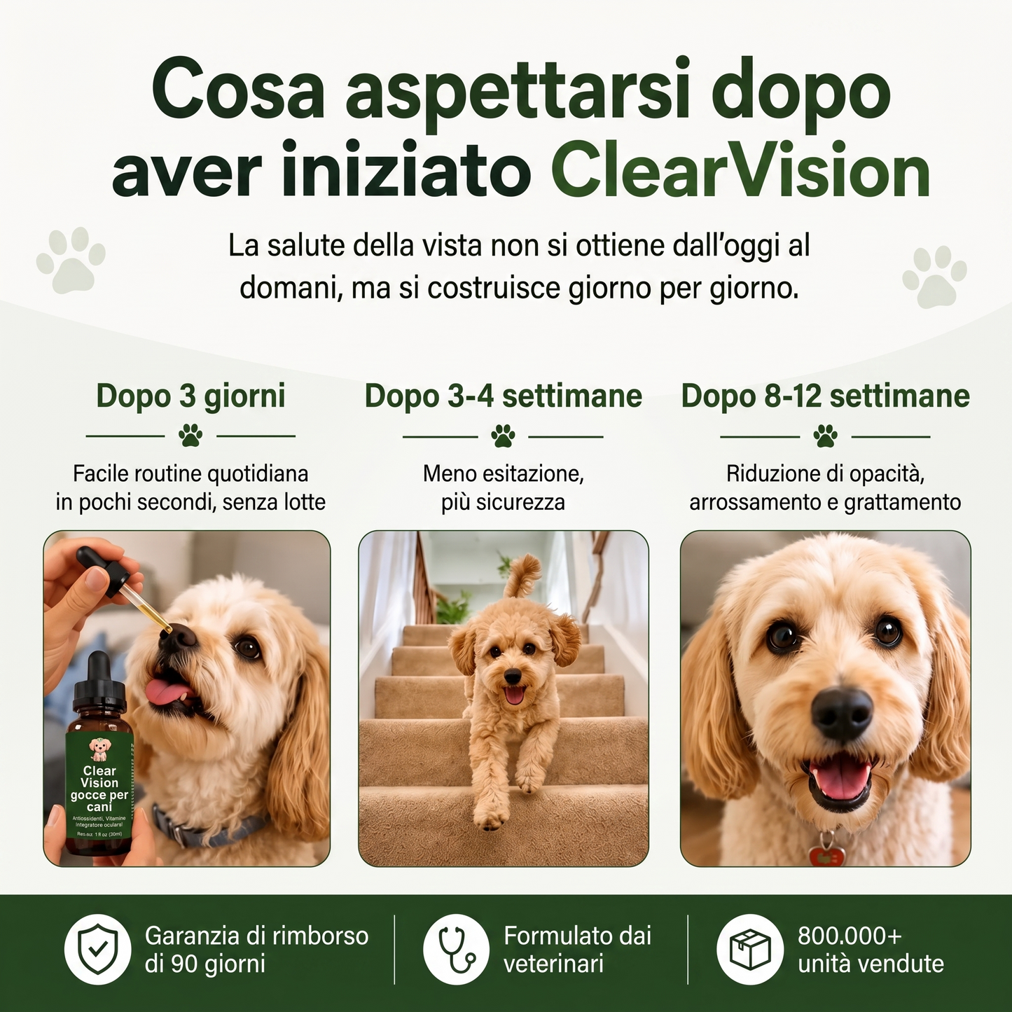 Cataratta Clear Vision – Gocce Antiossidanti per la Vista del Cane