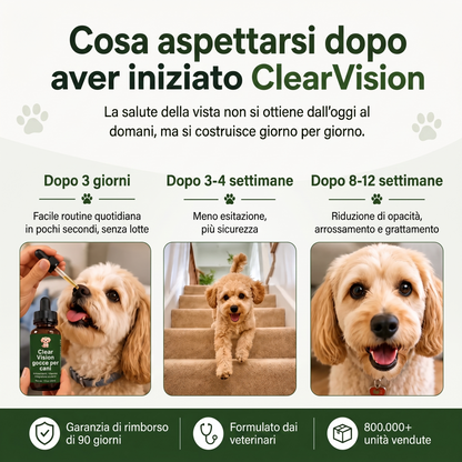Cataratta Clear Vision – Gocce Antiossidanti per la Vista del Cane