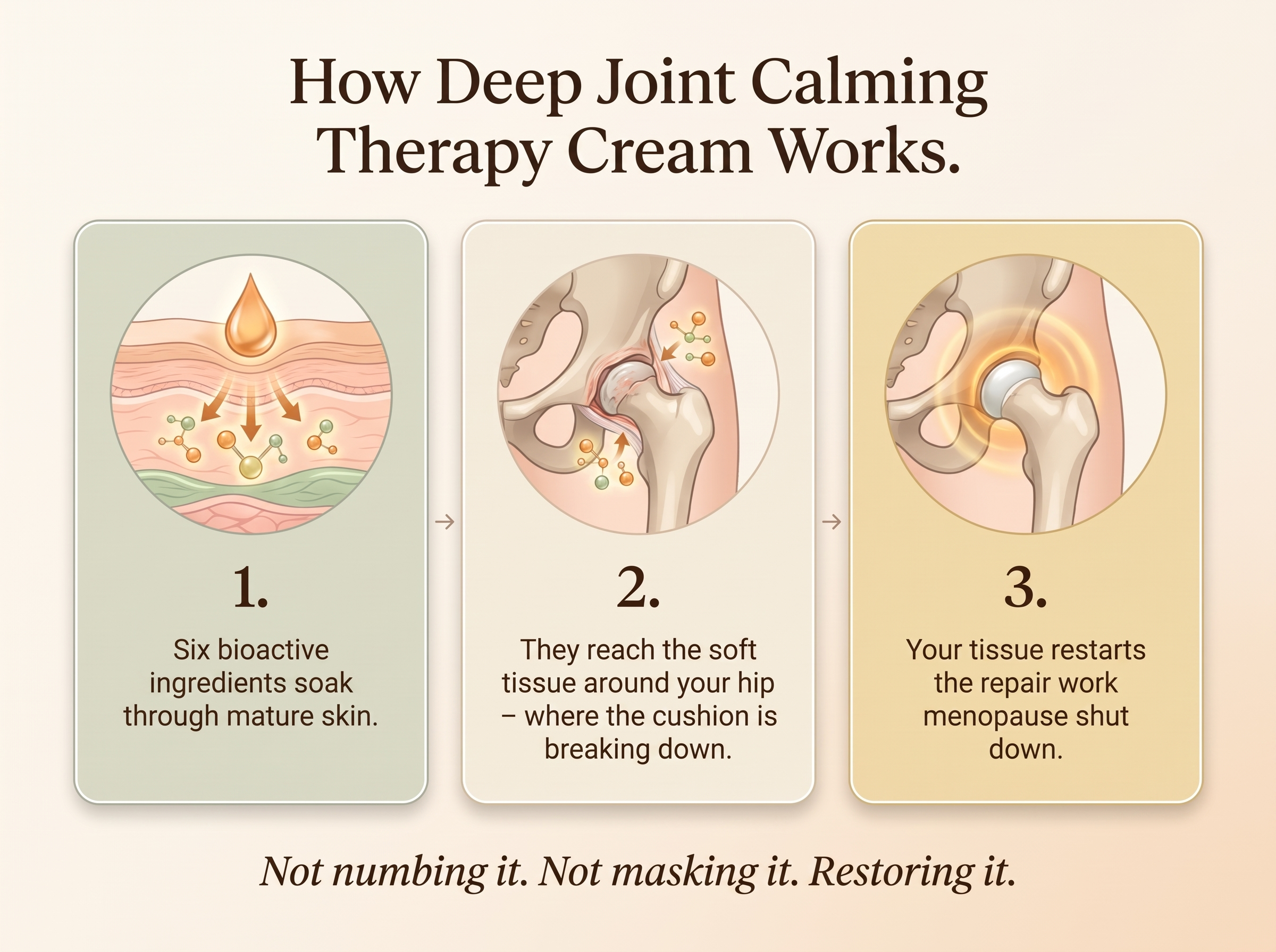Letili Organics Deep-Soothing Joint Therapy Cream | MP