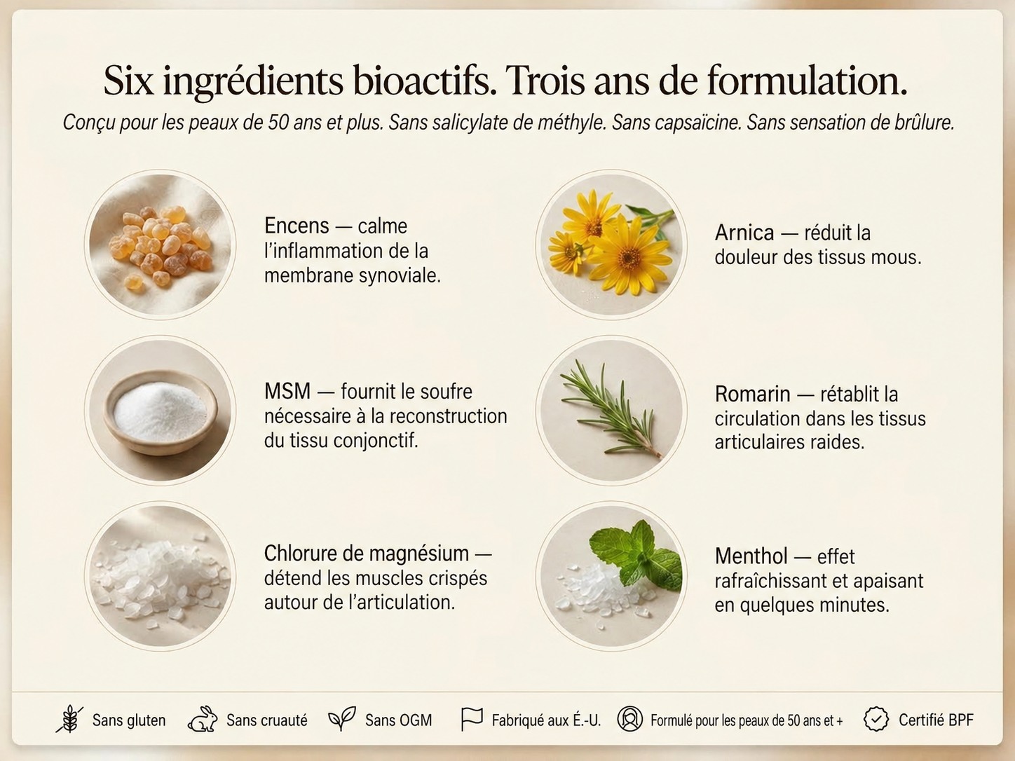 Letili Organics Crème apaisante en profondeur pour les articulations | MP