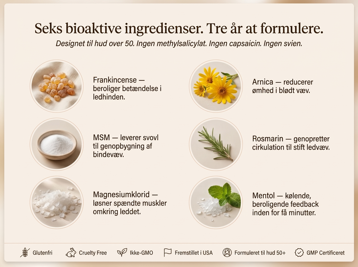2X | Letili Organics Dybdevirkende Ledcreme – Beroligende Lindring | MP