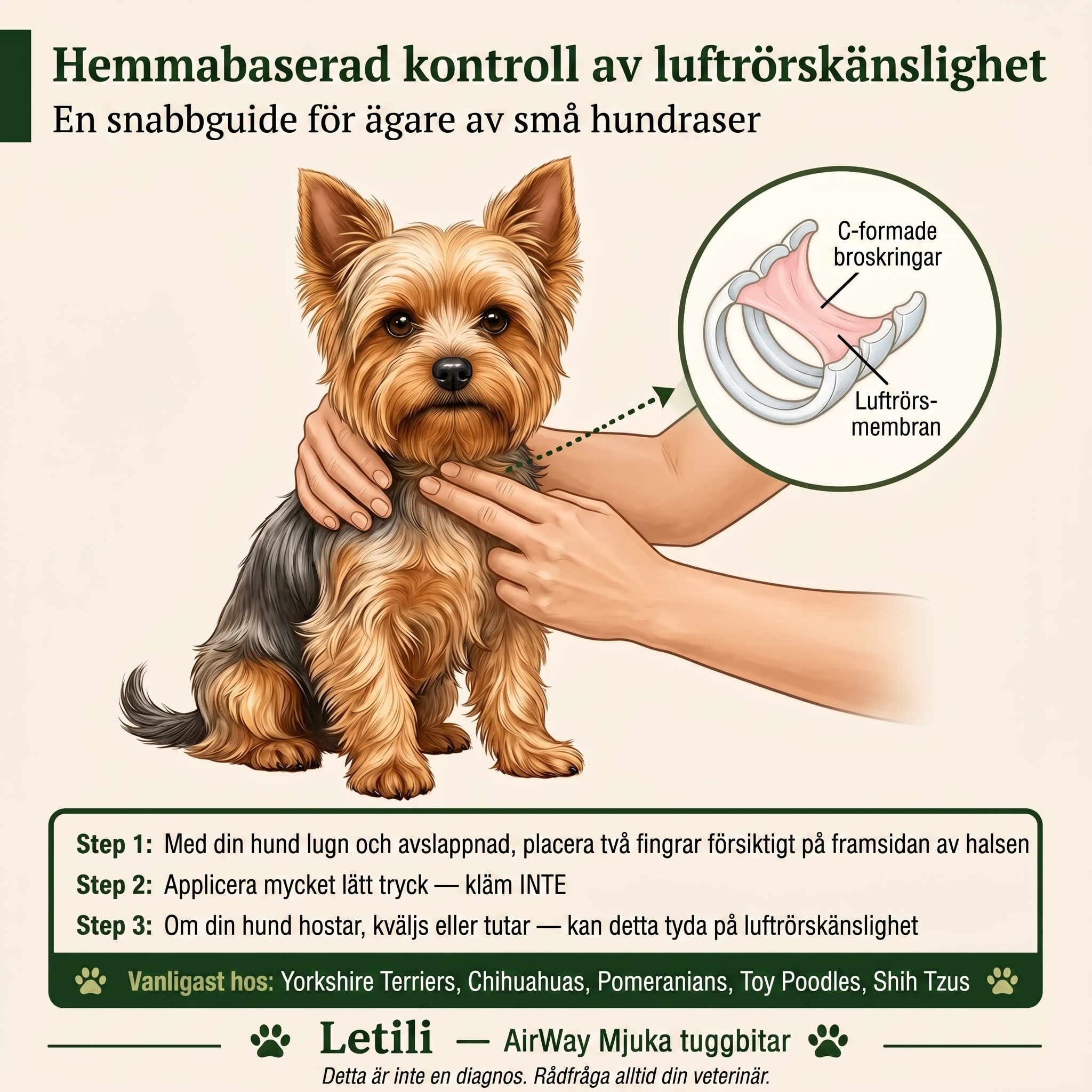 Luftvägsstöd Mjuka Tuggbitar för Små Hundraser